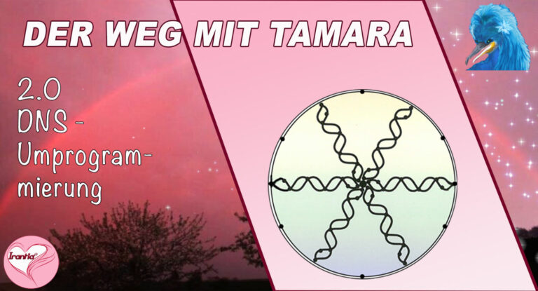 DNS-Umprogrammierung mit Tamara