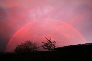 Aktivierung der 12-Bündel-DNS mit Kryon (Muragruppe), Teil 9 vom 16. -17.5.26 – Seminaranmeldung