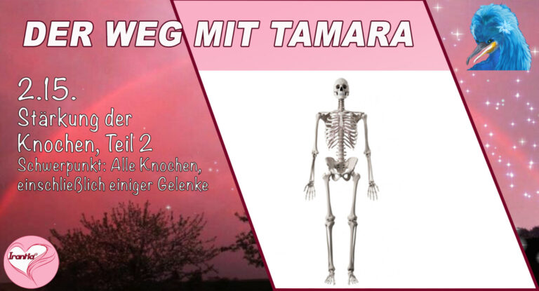 2.15. Der Weg in die Schmerz- u. Symptomfreiheit mit Tamara, Stärkung der Knochen, Teil 2 Schwerpunkt: Alle Knochen