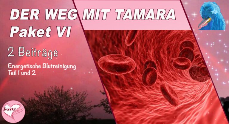 Der Weg mit Tamara, Energetische Blutreinigung Teil 1+2 , Paket VI (Dauer: 4h 23min)