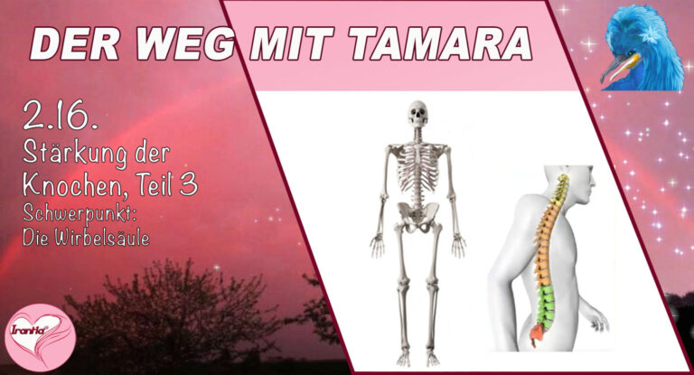 2.16. Der Weg in die Schmerz- u. Symptomfreiheit mit Tamara, Stärkung der Knochen, Teil 3 Schwerpunkt: Wirbelsäule
