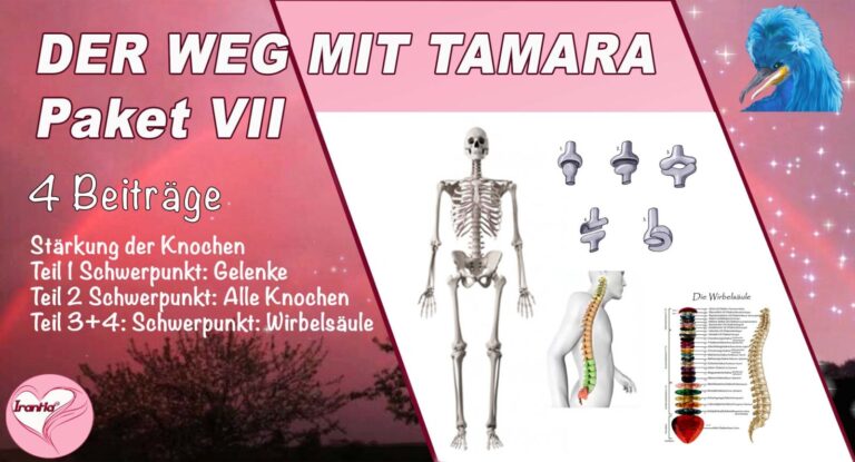 Der Weg mit Tamara, Stärkung der Knochen Teil 1-4 , Paket VII (Dauer: 8h 34min)