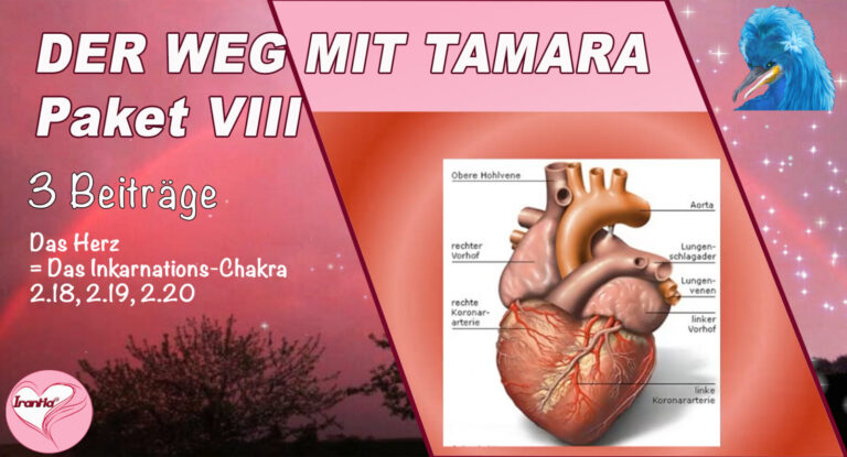 Der Weg mit Tamara, Das Herz = Das Inkarnations-Chakra Teil 1-3 , Paket VIII (Dauer: 6h 45min)