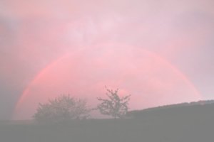 Aufstellungs-Tag 25.4.2026 / online – Seminaranmeldung