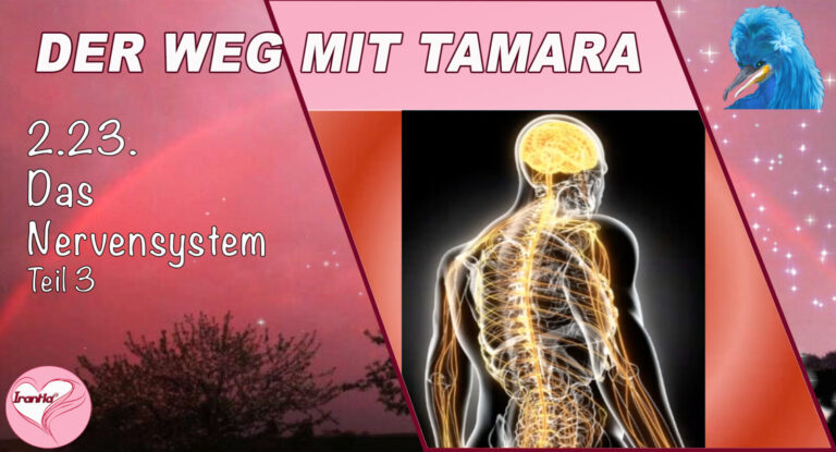 2.23. Der Weg in die Schmerz- u. Symptomfreiheit mit Tamara, Nervensystem, Teil 3