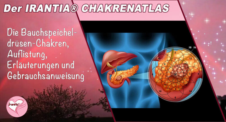 Bauchspeicheldrüsen-Chakren (gedrucktes PDF)