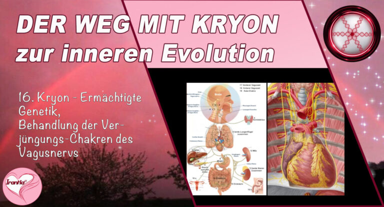 16. Der Weg mit Kryon zur inneren Evolution, Ermächtigte Genetik, Bearbeitung der Verjüngungs-Chakren des Vagusnervs, Teil 16
