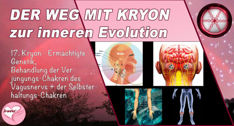 17. Der Weg mit Kryon zur inneren Evolution, Ermächtigte Genetik, Bearbeitung der Verjüngungs-Chakren des Vagusnervs + der Selbsterhaltungs-Chakren, Teil 17