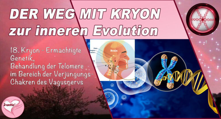 18. Der Weg mit Kryon zur inneren Evolution, Ermächtigte Genetik, Behandlung der Telomere im Bereich der Verjügungs-Chakren des Vagusnervs, Teil 18