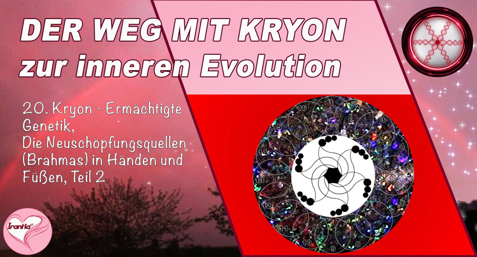 20. Der Weg mit Kryon zur inneren Evolution, Ermächtigte Genetik, Neuschöpfungsquellen (Brahmas)in Händen und Füßen 2, Teil 20