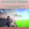 Hilfsmittel bei Schocks und Traumata - für das selbstständige Bearbeiten der persönlichen Themen (gedruckte Version vom E-Book)