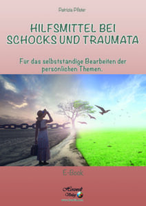 Hilfsmittel bei Schocks und Traumata – für das selbstständige Bearbeiten der persönlichen Themen (gedruckte Version vom E-Book)