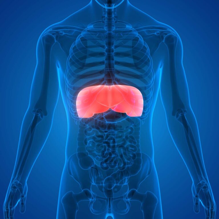 Leber-Reinigung für Körper, Geist und Seele (mit Nolan-Leber) Teil 6, online – live, mit Aufzeichnung – Seminaranmeldung