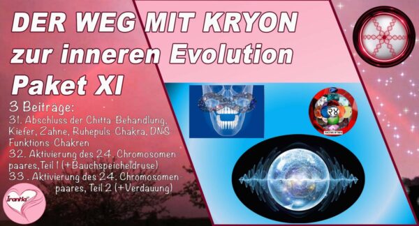 Kryons Weg der inneren Evolution, Paket XI (Dauer: 6h:14min)