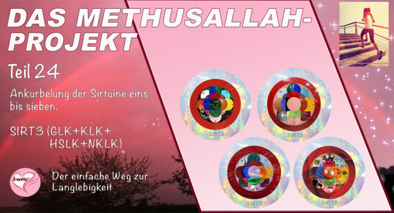 Das Methusallah-Projekt, Teil 24, Ankurbelung der Sirtuine, eins bis sieben, SIRT 3 (GLK, KLK, HSLK + NKLK)
