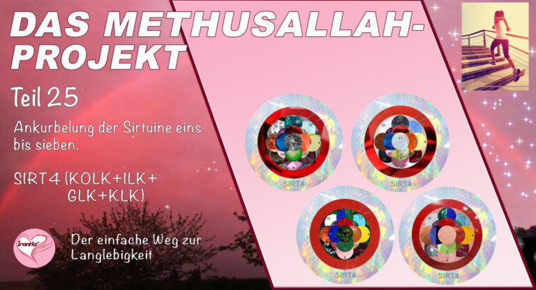 Das Methusallah-Projekt, Teil 25, Ankurbelung der Sirtuine, eins bis sieben, SIRT 4 (KOLK, ILK, GLK + KLK)