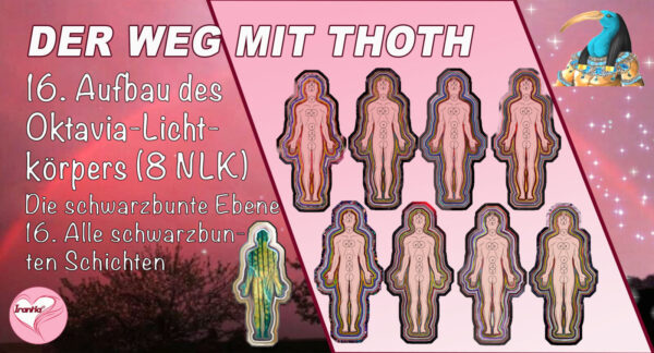 16. Aufbau des Oktavia-Lichtkörpers (Die 8 Nolan-Lichtkörper) die schwarzbunte Ebene, alle schwarzbunten Schichten