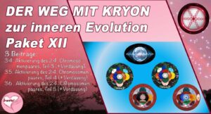 Kryons Weg der inneren Evolution, Paket XII (Dauer: 6h:58min)