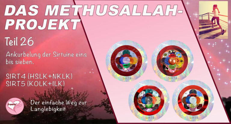 Das Methusallah-Projekt, Teil 26, Ankurbelung der Sirtuine, eins bis sieben, SIRT 4 (HSLK+NKLK) SIRT 5 (KOLK+ILK)