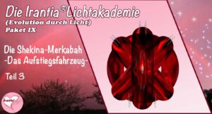 Die Shekina-Merkabah – das Aufstiegsfahrzeug III, Paket 9  (Dauer: 6h 36min)