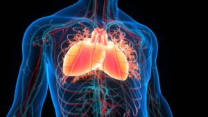 Doppel-Herzseminar 2, online – live – Seminaranmeldung