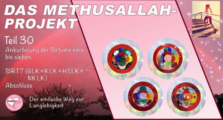 Das Methusallah-Projekt, Teil 30, Ankurbelung der Sirtuine, eins bis sieben, Abschluss SIRT 7 (GLK+KLK+HSLK+NKLK)