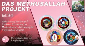 Das Methusallah-Projekt, Teil 34, Ankurbelung der Sirtuin 7-Chakren, Aktivierung der Muskelchakren, Aktivierung der Verjüngungs-Chakren