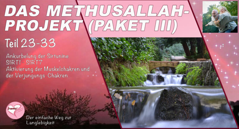 Das Methusallah-Projekt, Paket III, Teil 23-33 (Dauer: 6h 16min)