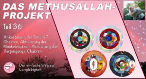 Das Methusallah-Projekt, Teil 36, Ankurbelung der Sirtuin 7-Chakren, Aktivierung der Muskelchakren, Aktivierung der Verjüngungs-Chakren