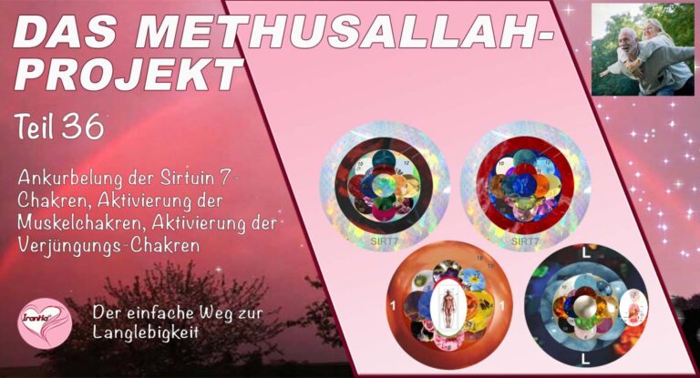 Das Methusallah-Projekt, Teil 36, Ankurbelung der Sirtuin 7-Chakren, Aktivierung der Muskelchakren, Aktivierung der Verjüngungs-Chakren