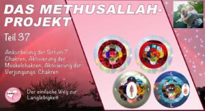 Das Methusallah-Projekt, Teil 37, Ankurbelung der Sirtuin 7-Chakren, Aktivierung der Muskelchakren, Aktivierung der Verjüngungs-Chakren