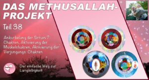 Das Methusallah-Projekt, Teil 38, Ankurbelung der Sirtuin 7-Chakren, Aktivierung der Muskelchakren, Aktivierung der Verjüngungs-Chakren