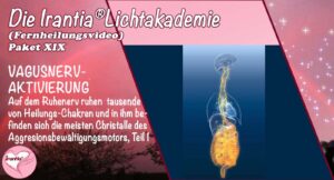 Vagusnervaktivierung, Teil 1, Paket 19  (Dauer: 5h 53min)