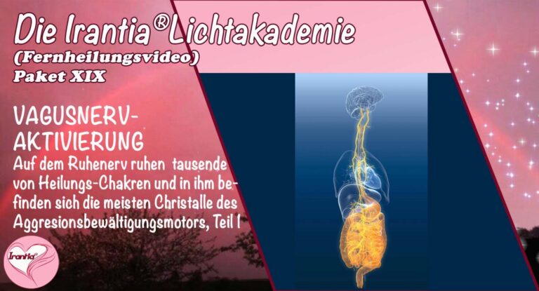 Vagusnervaktivierung, Teil 1, Paket 19  (Dauer: 5h 53min)