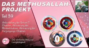Das Methusallah-Projekt, Teil 39, Ankurbelung der Sirtuin 7-Chakren, Aktivierung der Muskelchakren, Aktivierung der Verjüngungs-Chakren