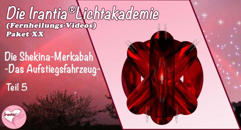 Die Shekina-Merkabah – das Aufstiegsfahrzeug V, Paket 20  (Dauer: 5h 49min)