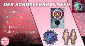 6. Der Schöpferkraftweg. „Antreiben der Aphora (Drachen)“ + Lichtkörperaufbau, Matrix-Lichtkörper, Teil 6
