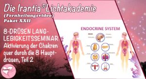 8-Drüsen-Langlebigkeitsseminar, Aktivierung der Chakren quer durch die acht Hauptdrüsen Teil 2, Paket 22  (Dauer: 5h 32min)