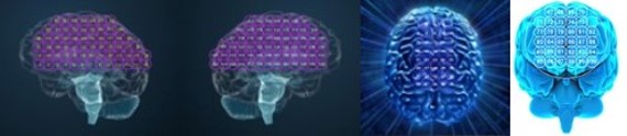 Schock-und Trauma-Auflösungs-Seminar Teil 5, online – live (mit Aufzeichnung) – Seminaranmeldung